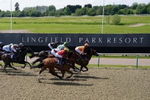 Lingfield race course