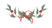 Christmas decoration Christmas decoration