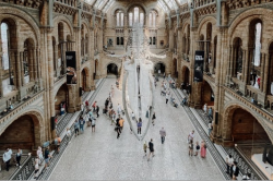The Natural History Museum The Natural History Museum