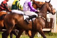 L2602 - horse racing - AdobeStock 89203737