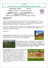 LenARA_July_Newsletter.pdf thumbnail