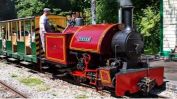 Amberley steam train www.amberleymuseum.co.uk